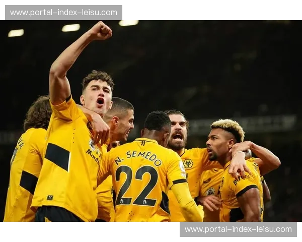 布伦特福德新蜂王蒂亚戈新年参与七球，进攻影响力凸显